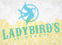 Ladybirds,furnature,restoration,antiques,Portland,family,branding,website design,website development,marketing,marketing materials